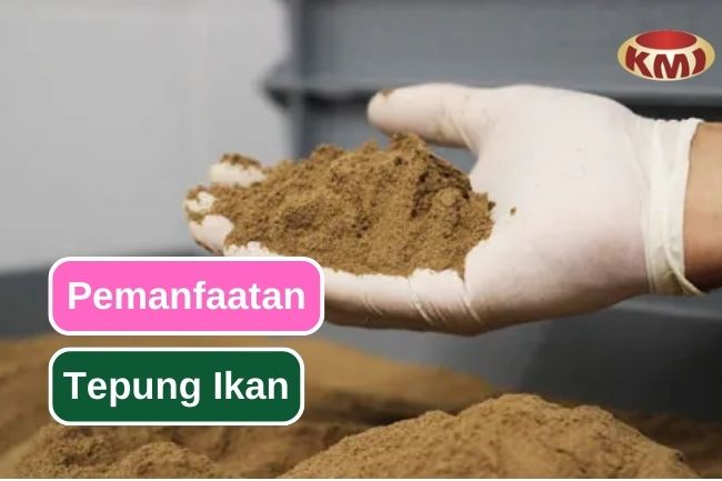 8 Potensi Tepung Ikan yang Jarang Diketahui